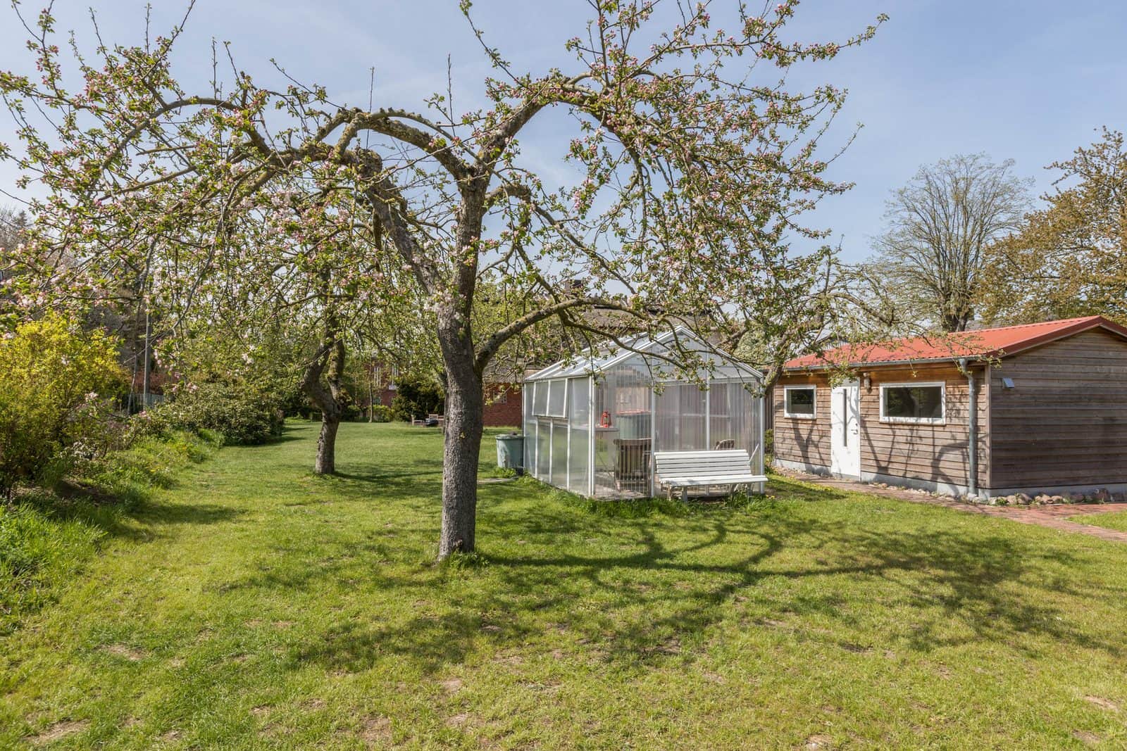 The orchard meadow between the houses: an old fruit tree in blossom, with the greenhouse and a white bench in front of it and the timber-clad outbuilding beyond.