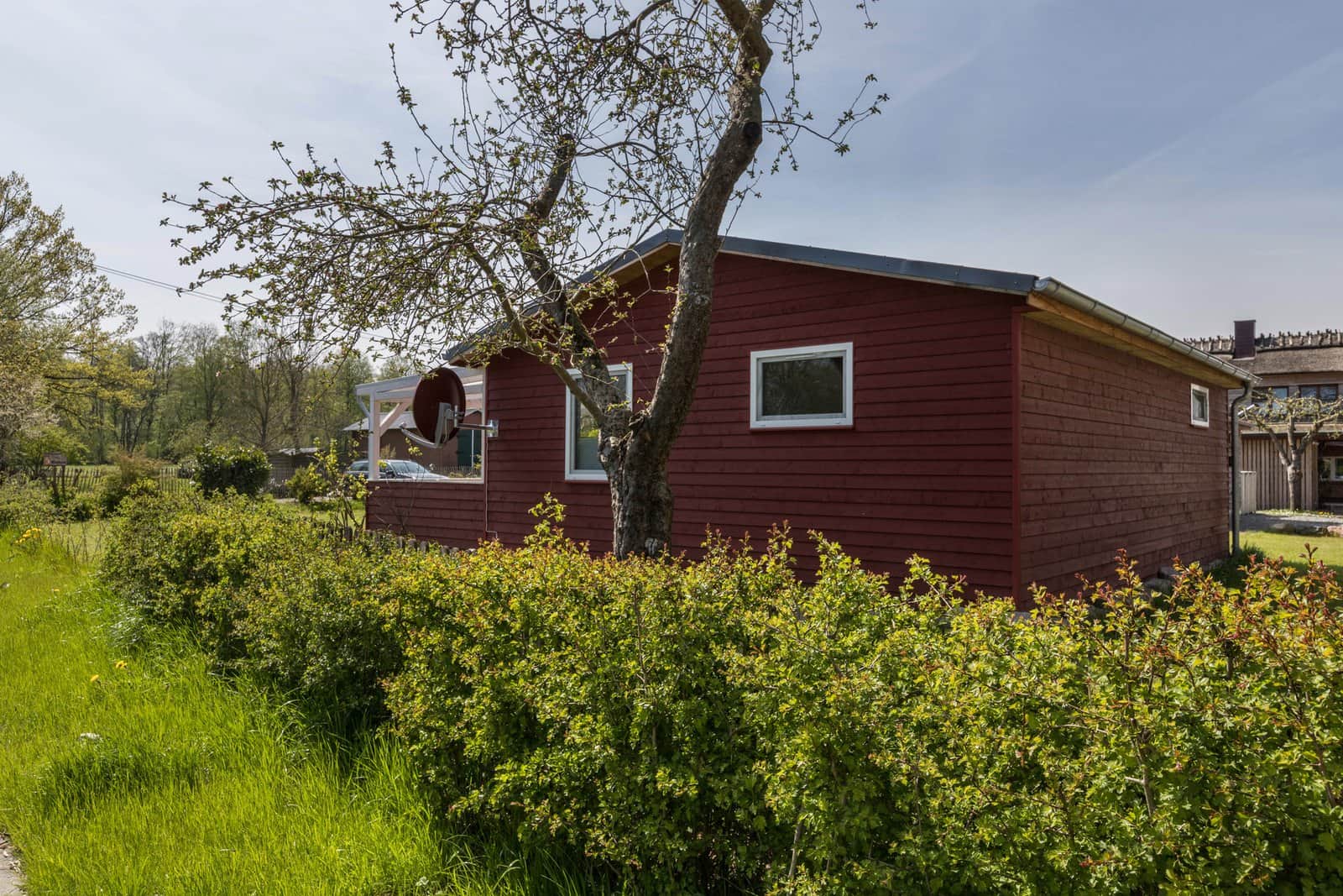 The back of Holtdeel above a hedge with an apple tree beside it and the neighbouring trees behind.