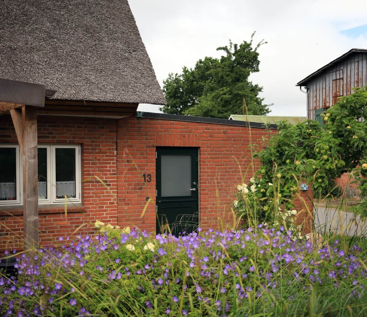 The green front door with the house number 13, and a bed of purple cranesbill and grasses in front of it.