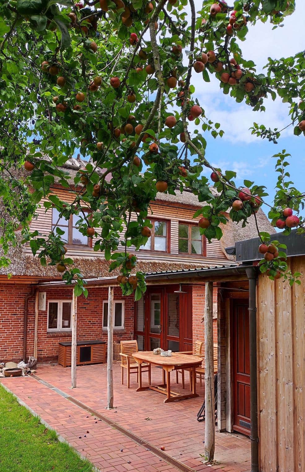 A teak table and four chairs on the paved terrace, with fruit-laden apple branches and the thatched roof above.