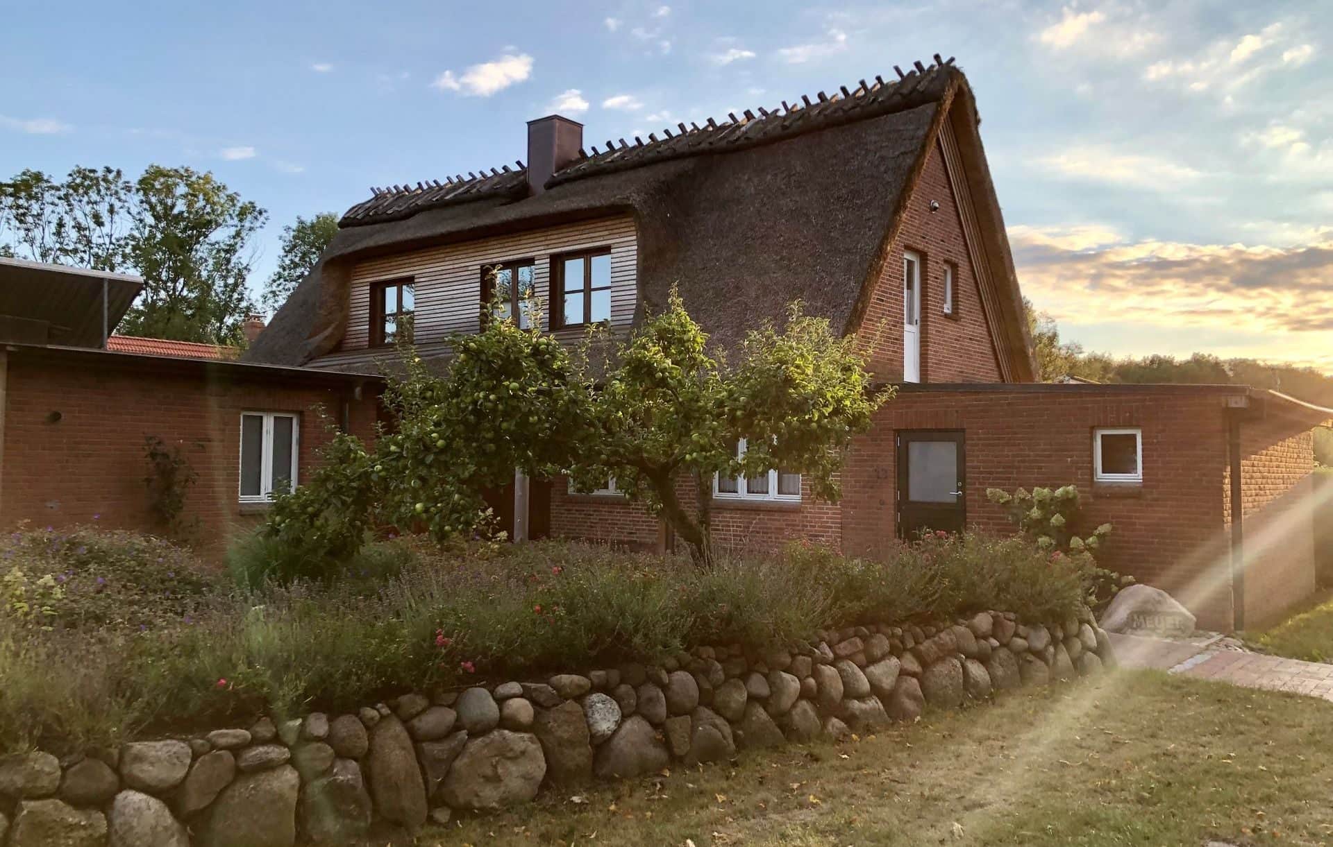 The thatched house against the low evening sun, with an apple tree and a fieldstone wall with a perennial bed in front.