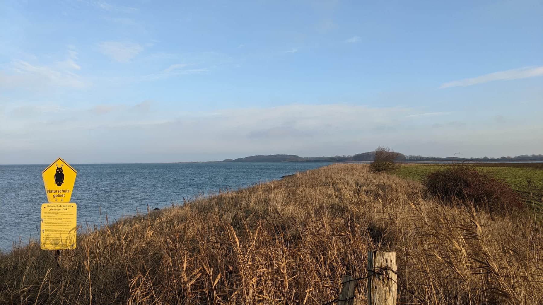 The yellow owl sign marking the nature reserve on the path along the Geltinger Birk dyke, the bay to the left, reeds and winter grass to the right as far as the treeline.
