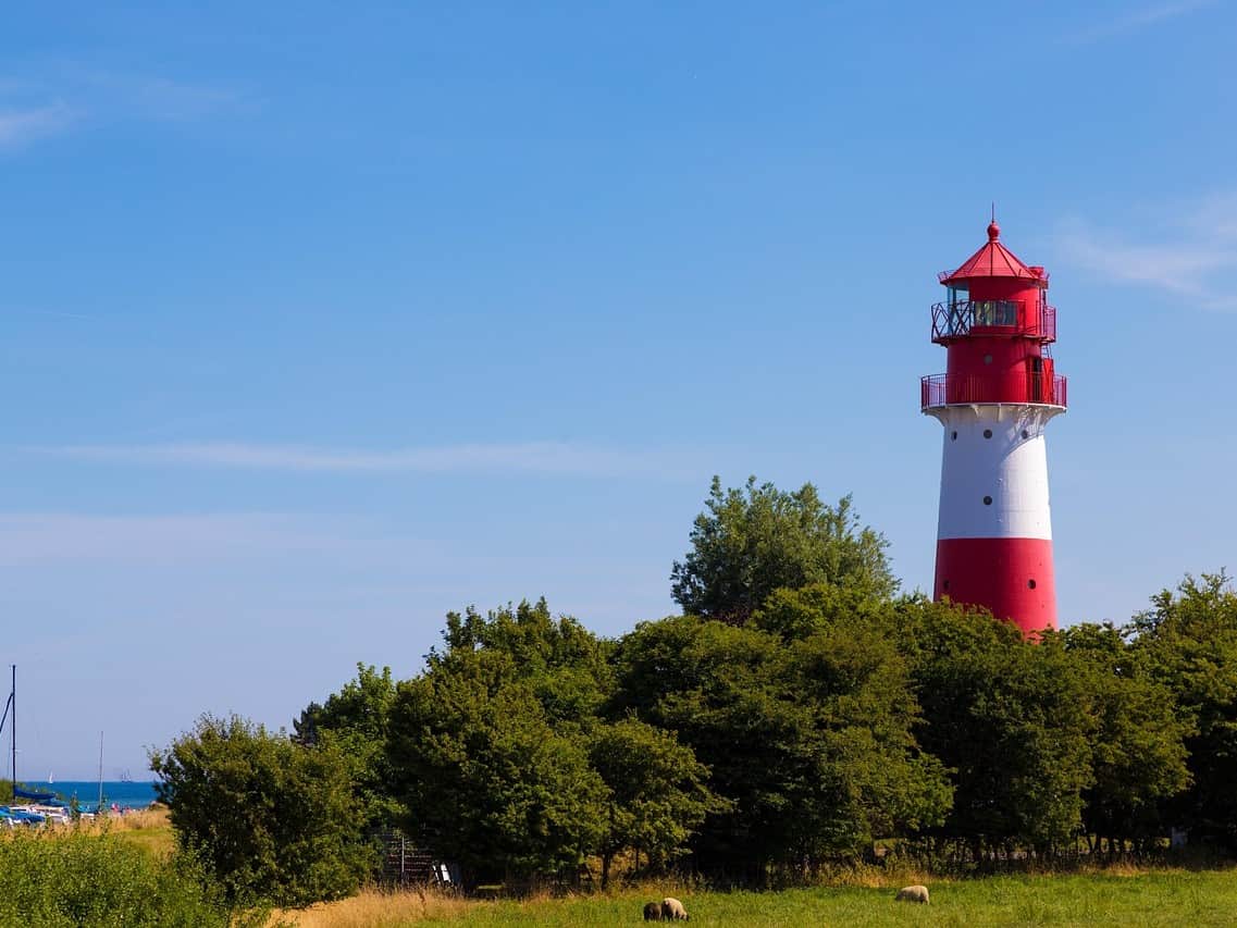 A red-and-white lighthouse rising above a stand of trees, a meadow with sheep in front and a strip of the Baltic to the left under a deep blue sky.