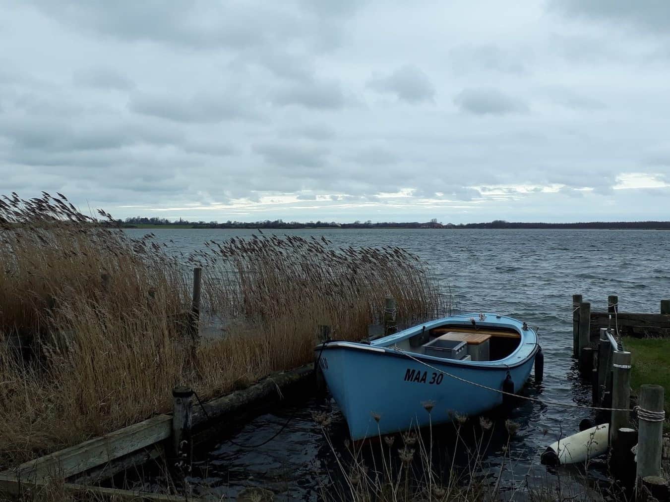 A blue open fishing boat at a wooden jetty among the reeds, with grey water and an overcast sky beyond.