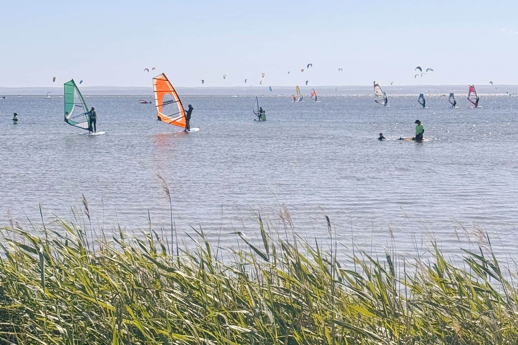 Windsurfers with brightly coloured sails in shallow water, kites in the sky above and dune grass in the foreground.