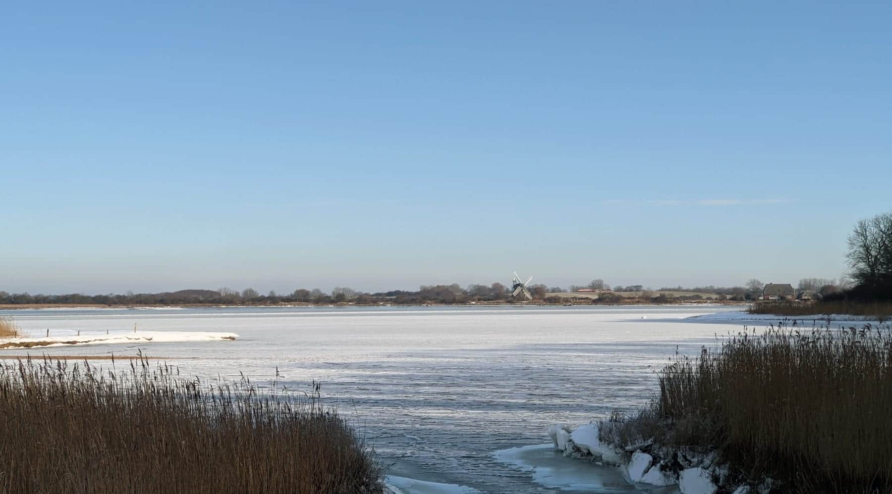 A frozen bay under a clear winter sky, grey reeds and snow along the near shore and a windmill on the far side.
